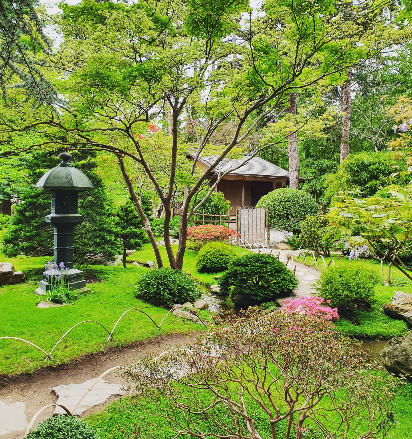 Looks familiar! 😉 😍 
A Japanese garden in Paris 🌱
.
.
.
.
.
#rediscoveringparis #japanesegarden  #japanesegardeninparis #weekend #walkinparis #zen #calm #beautiful #jardin #jardinjaponais #beautifulday #outdoors #paristokyo #パリ